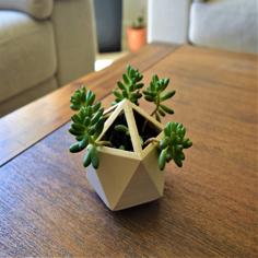 Low Poly Planter 3D Printer Model