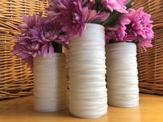 Noodle Vases 3D Printer Model