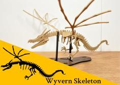 [Fantasy & Primal] Wyvern Skeleton 3D Printer Model