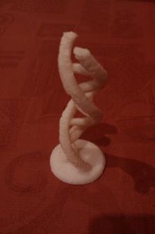 DNA Sculpture (Parameterised) 3D Printer Model