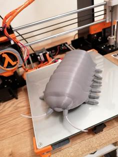 Wood Louse Articulated 3D Printer Model