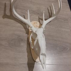 Deer Skull Printable Large! 3D Printer Model