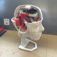 Modified InMoov Head, Part 2. 3D Printer Model