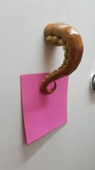 Tentacle Fridge Magnet 3D Printer Model