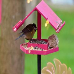 Bird Feeder 3D Printer Model