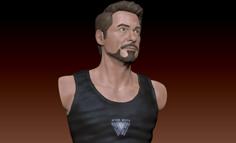 Tony Stark Bust 3D Printer Model