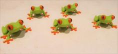 Red Eyed Tree Frog Multicolor With Magnet 3D Printer Model