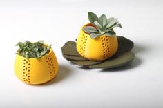 Jungle Pot Or Candle Holder 3D Printer Model