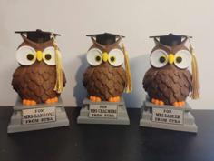 Teacher Appreciation / Graduation Owl Gift 3D Printer Model