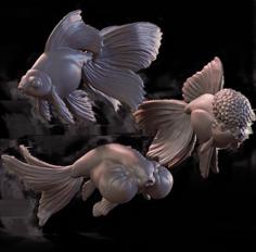 Goldfish Trio 3D Printer Model