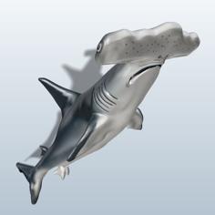 Great Hammerhead Shark 3D Printer Model