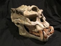 Troll Skull 3D Printer Model