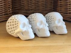 Three Architected Skulls 3D Printer Model