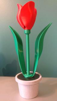 Single Tulip & Pot 3D Printer Model