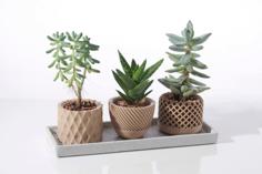 Modern Geometric Succulent Plant Pot 3D Printer Model