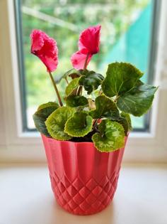 Flower Pot Decoration 3D Printer Model