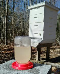 Bee Waterer Or Feeder 3D Printer Model