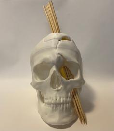 The Skull Of Phineas Gage – Clean Resculpt 3D Printer Model