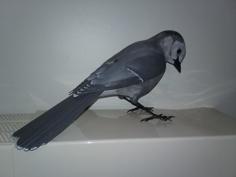 Gray Jay 3D Printer Model