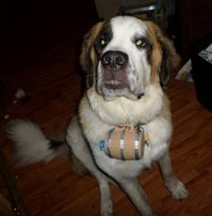 Saint Bernard Rescue Barrel 3D Printer Model