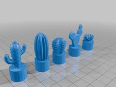 Cactus Magnets 3D Printer Model