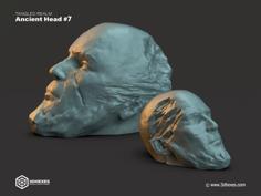 Ancient Head #7 – Tangled Realm 3D Printer Model