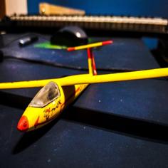 Polish Glider Model SZD-30 “Pirat” 3D Printer Model