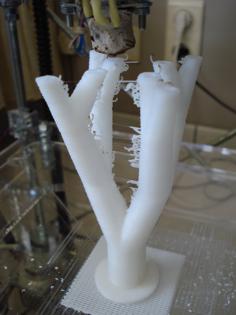 Educational Lung Model 3D Printer Model