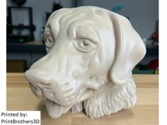 Labrador Retriever Head For Wall (Large) 3D Printer Model