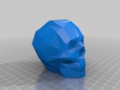 Low Poly Skull SD Card Holder 3D Printer Model