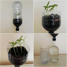 Passive Hydroponic System For Seedlings 3D Printer Model