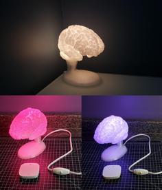 Brain Lamp With Socketed Base 3D Printer Model