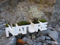 NATURE Planter 3D Printer Model