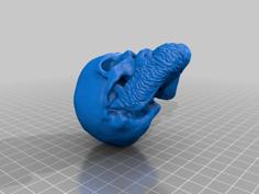 Skull With Beard 3D Printer Model