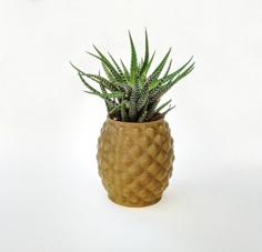 Pineapple Planter 3D Printer Model