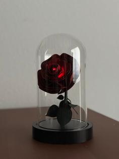 Rose For A Beast To Give A Beauty 3D Printer Model