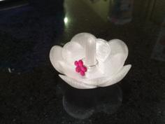 Ring Bearer 3D Printer Model