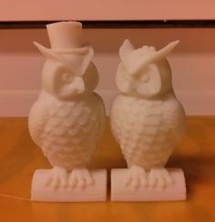 His And Her Owls (MakerWare-friendly!) 3D Printer Model