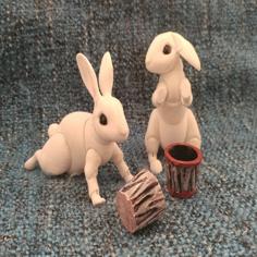 Rabbit (BJD) Renewal 3D Printer Model