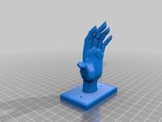 Jewelry Hand Coat Hook 3D Printer Model