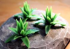 Tabletop Plant Agave 3D Printer Model