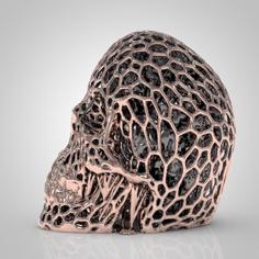 Skully 3D Printer Model