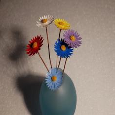 Flower Aster 3D Printer Model