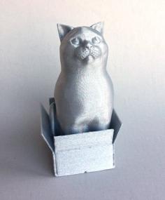 Schrodinky: British Shorthair Cat Sitting In A Box(single Extrusion Version) 3D Printer Model