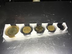 Mexican Coins Organizer 3D Printer Model