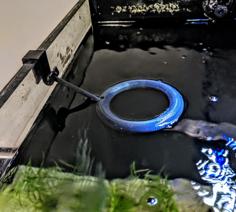 Feeding Fish Ring 3D Printer Model