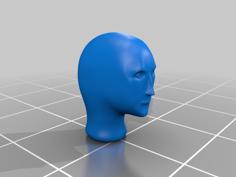 Special Meme Fresh Head 3D Printer Model