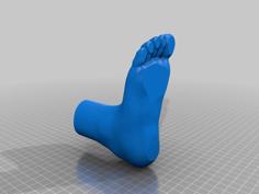 Foot Table Leg 3D Printer Model