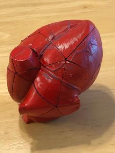 Anatomical Heart Puzzle 3D Printer Model