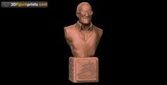 Stan Lee Bust 3D Printer Model